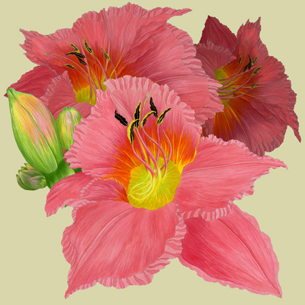 Release of Aarart Applique Brochure #2 & Catalogue #2